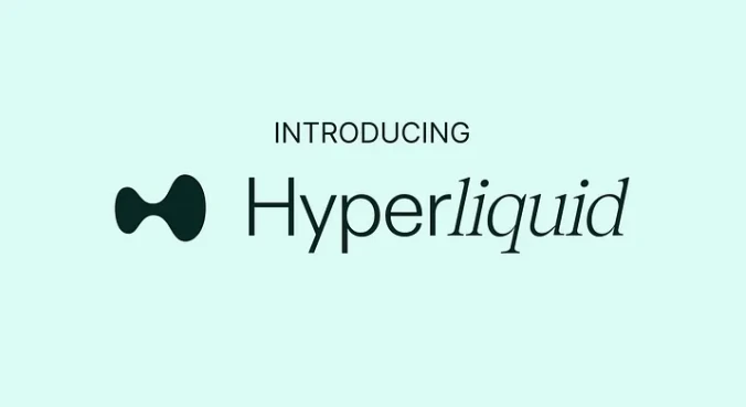 ハイパーリキッドの将来性・HYPEの買い方｜注意点まで徹底解説