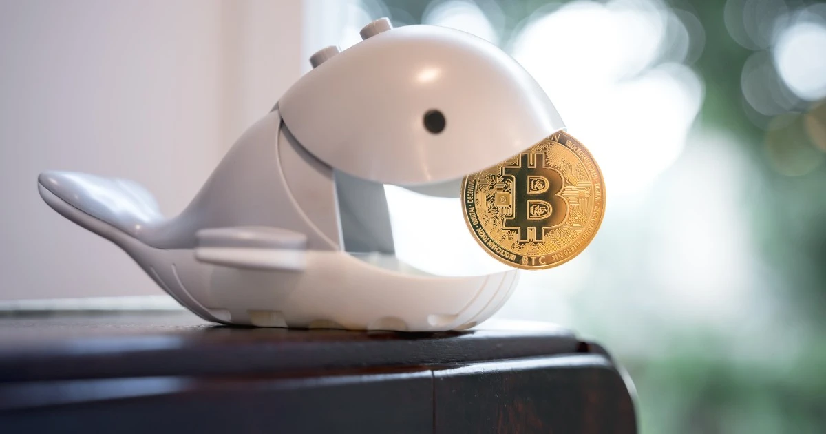 11年間休眠のビットコインクジラが1000BTC移動、170億円相当