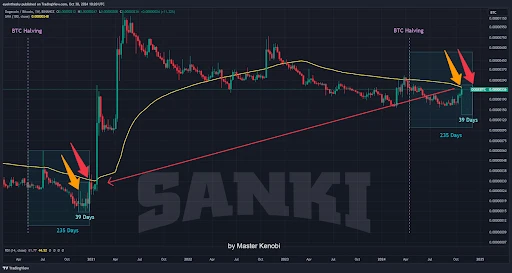 Analyst Who Predicted Start Of Dogecoin Bull Run Reveals What’s Coming Next