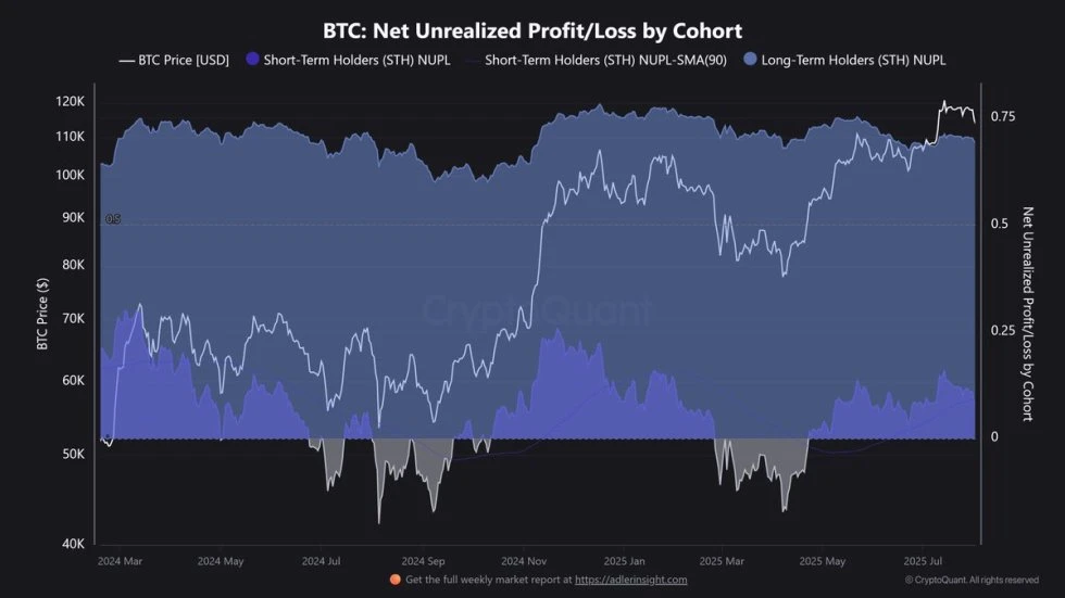 Is Bitcoin Bull Run Nearing Its End? LTH Conviction Is Strong But STH Pressure Builds